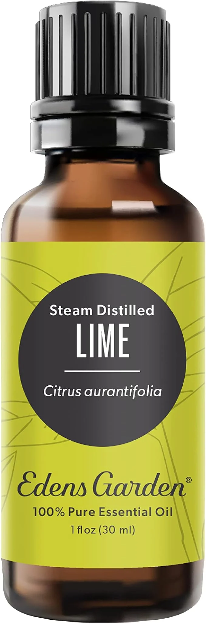 Healthy Edens Garden Lime- Steam Distilled Essential Oil- Pure Premium Grade Refined