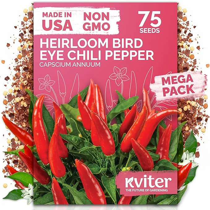 Premium KVITER 75 Birds Eye Chili Pepper Seeds Easy-to-Use