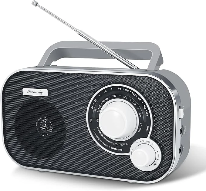 Modern DreamSky AM FM Portable Radio Plug In Wall or Battery Operated Flexible