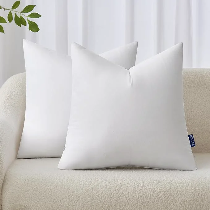 Versatile MIULEE 20×20 Inches Pillow Inserts Pack of 2 Decorative Throw Pillow Inserts Fine Crafted