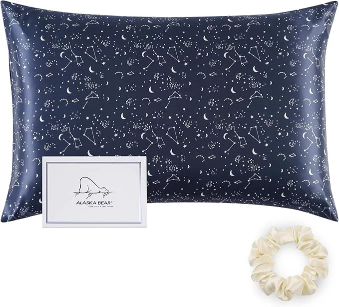 Fine ALASKA BEAR Silk Pillowcase Envelope Closure 22 Momme 100 Percent Long Overlap Modern