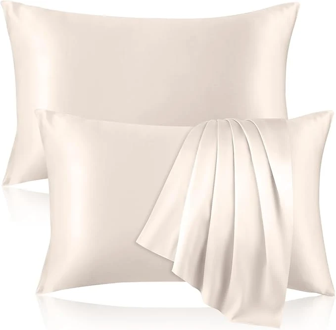 Fast 2 Pack Pure Silk Pillowcase Contemporary