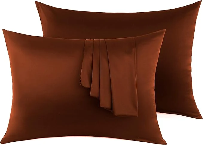 Environmentally Friendly Silk Pillow Cases 2 Pack Mulberry Silk Pillowcase Exclusive