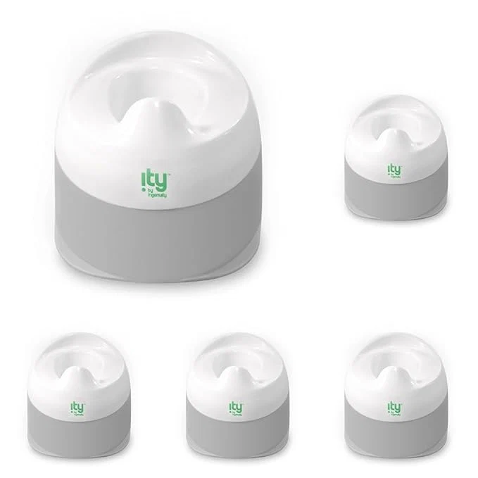 Traditional Ingenuity ity by Ingenuity Ready Set Go Potty Removable Bowl Non-Skid Bottom Specialty