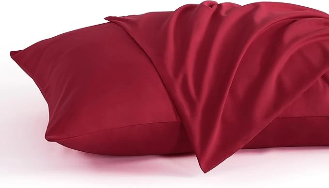 Selected NTBAY Queen Pillow Cases Set of 2 2 Pack Brushed Microfiber 20×30 Pillow Cases World-Class