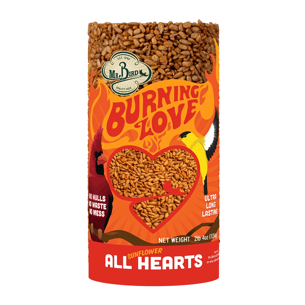 User-Friendly Mr. Bird Burning Love Small Seed Cylinder Sunflower Versatile