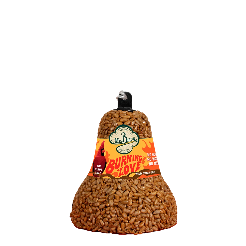 Fine Crafted Mr. Bird Burning Love Seed Bell Specialty