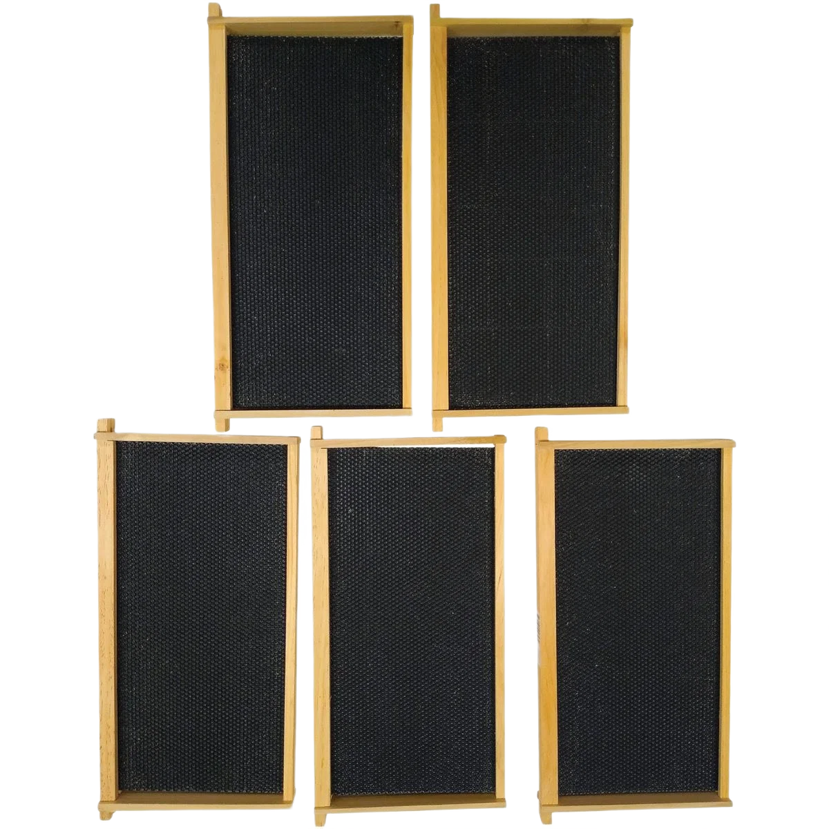 Clean Harvest Lane Honey Deep Beehive 5 Frames Excellent