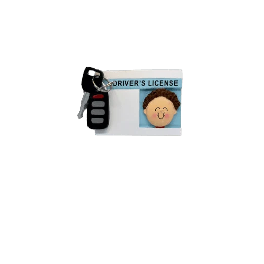 Trendy Ornament Central Male Brown License with Fob Personalized Ornament Secure