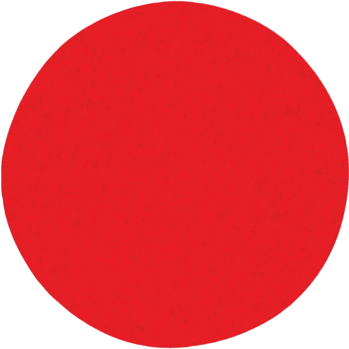 Trendy Diablo StickFast 5-In. 150-Grit Sanding Discs 50-Pack Relaxed