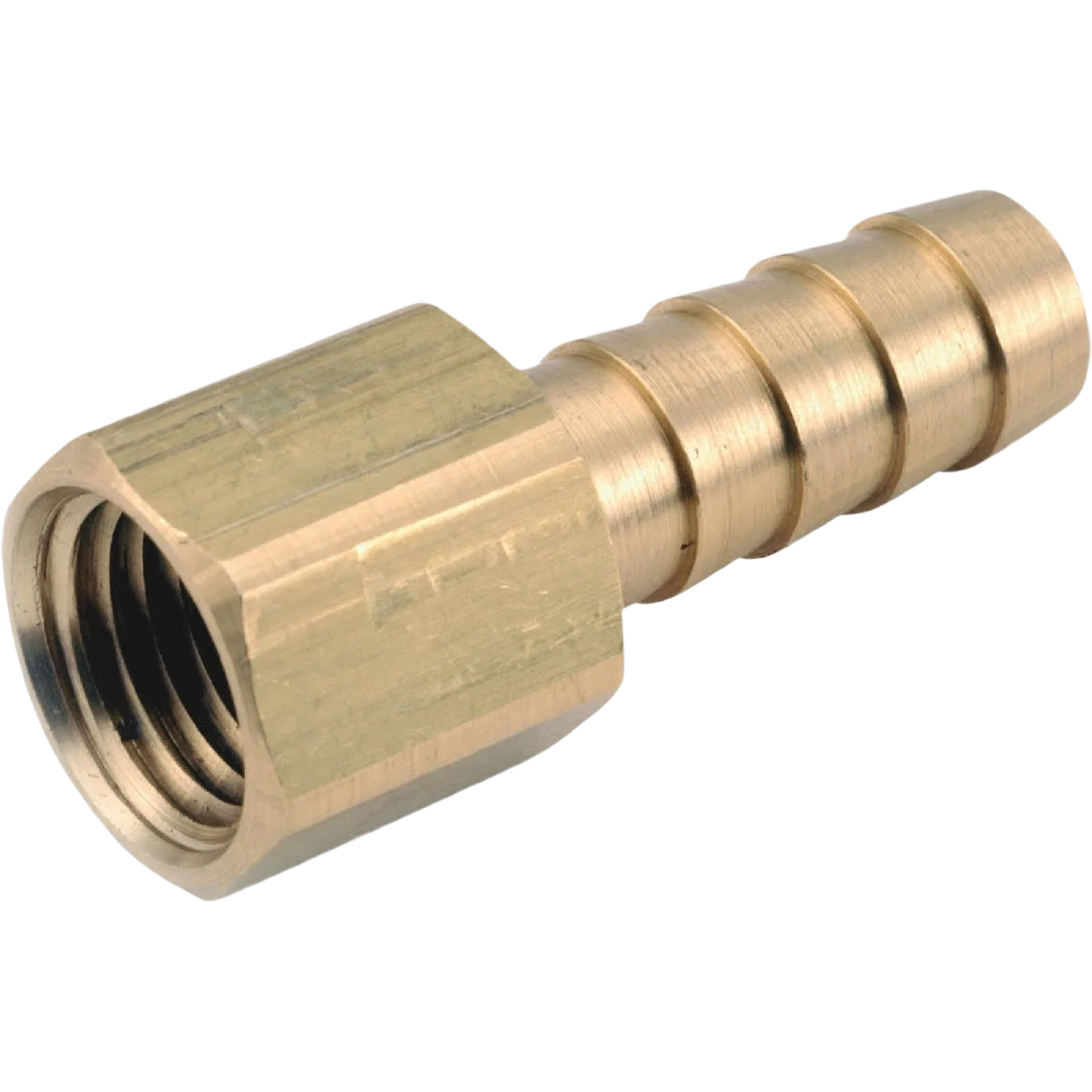 High-Grade Anderson Metals Brass Hose Barb 1 4 In. ID x 1 4 In. FPT Green