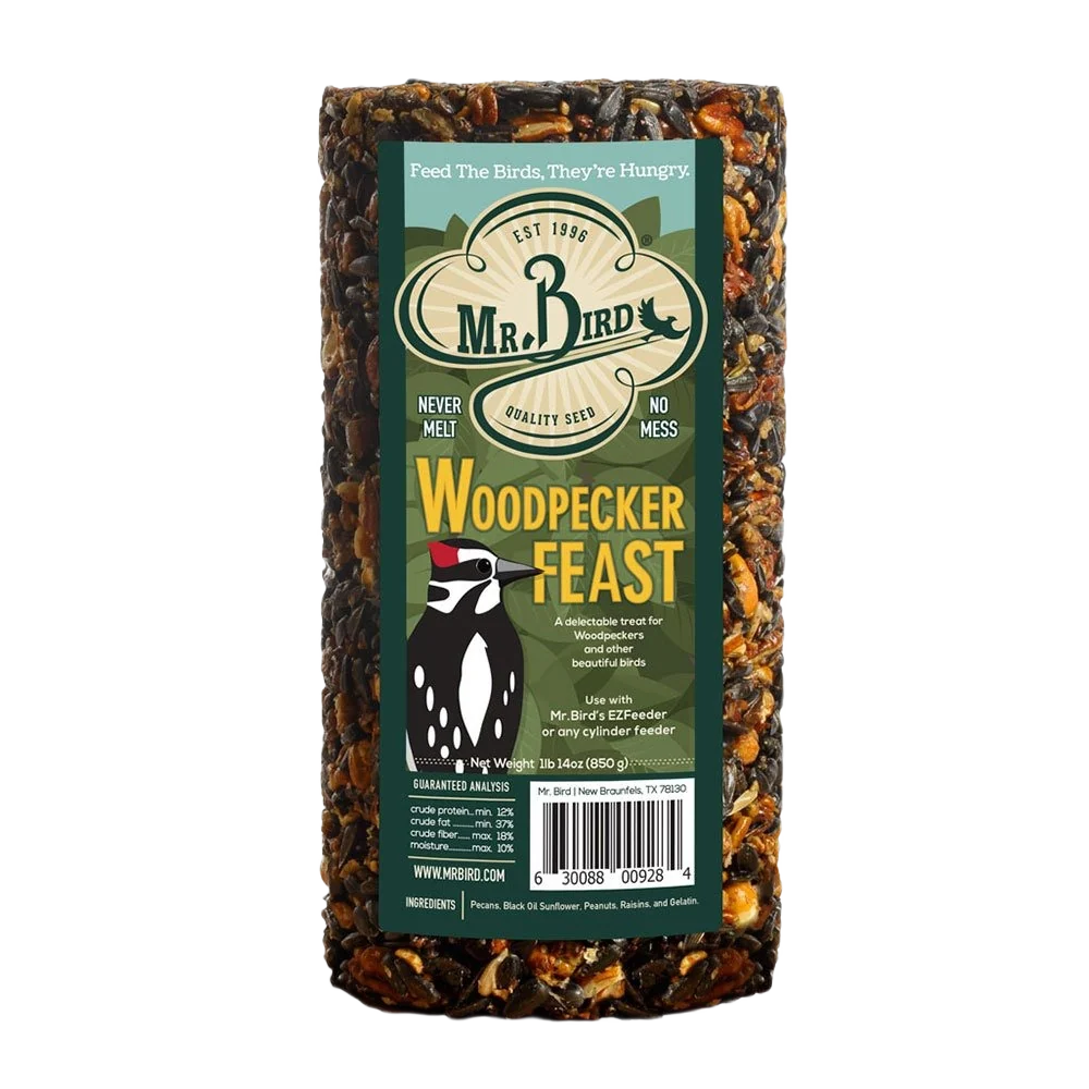 Fashionable Mr. Bird Woodpecker Feast Small Seed Cylinder Relaxed
