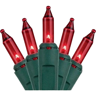 Premium Material J Hofert Red Mini Incandescent String Light Set Convenient