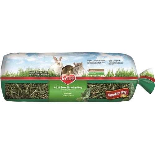 Trendy Kaytee Timothy Hay Plus Mint 24 oz. Modern