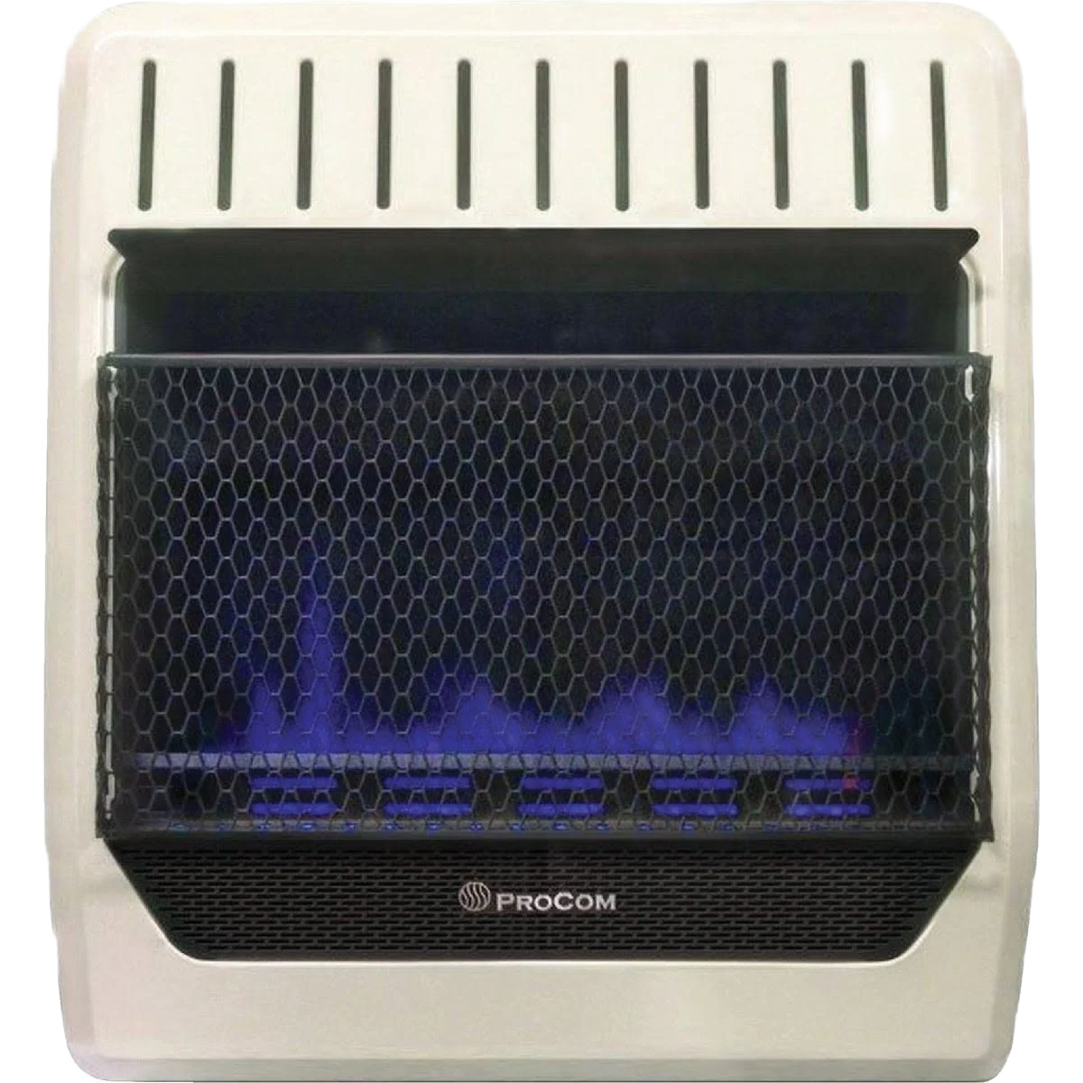 Clean Mr. Heater 20 000 BTU Blue Flame Dual Fuel Vent Wall Heater Trusted