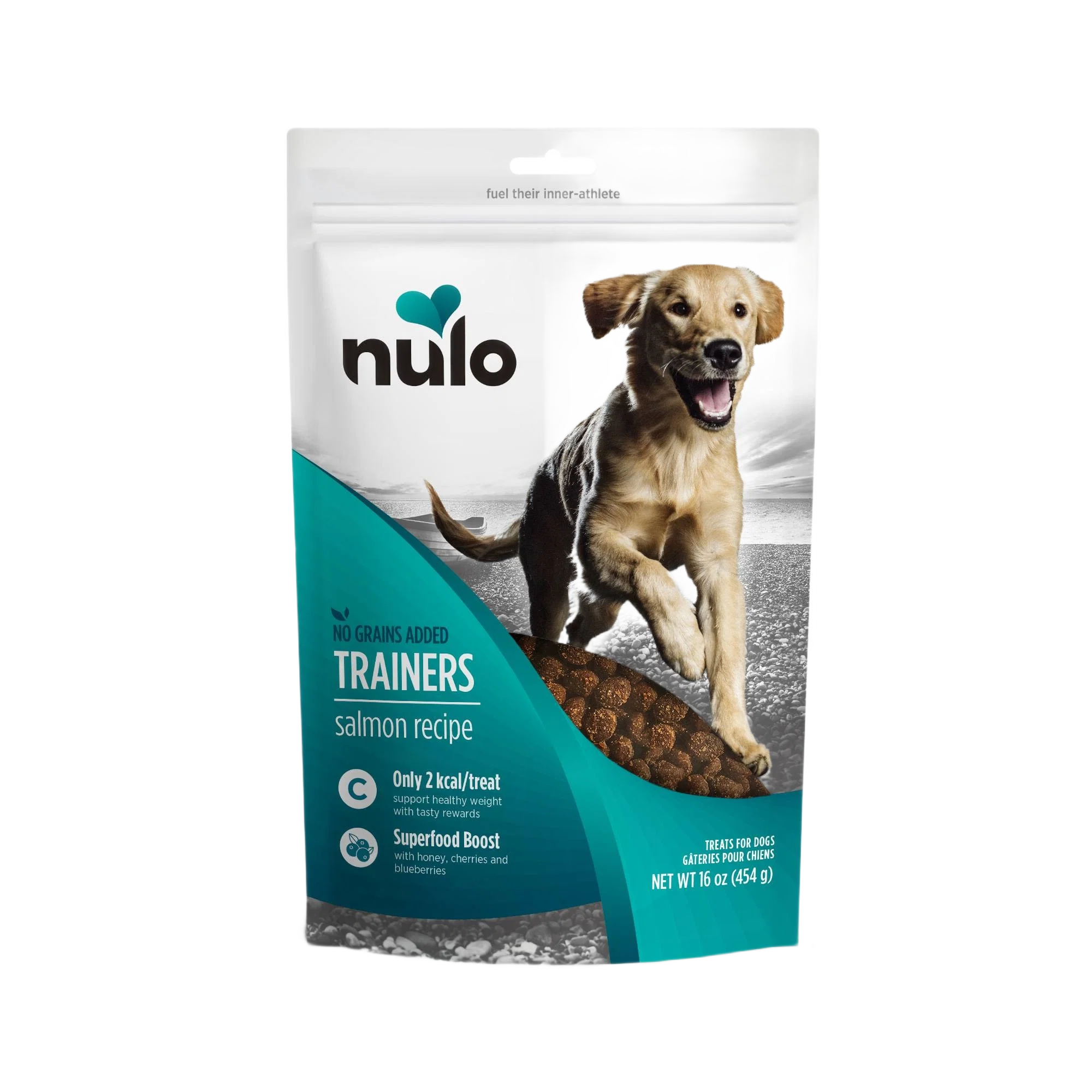 Expertly Made Nulo style Salmon Training Treats 4 oz. Fast