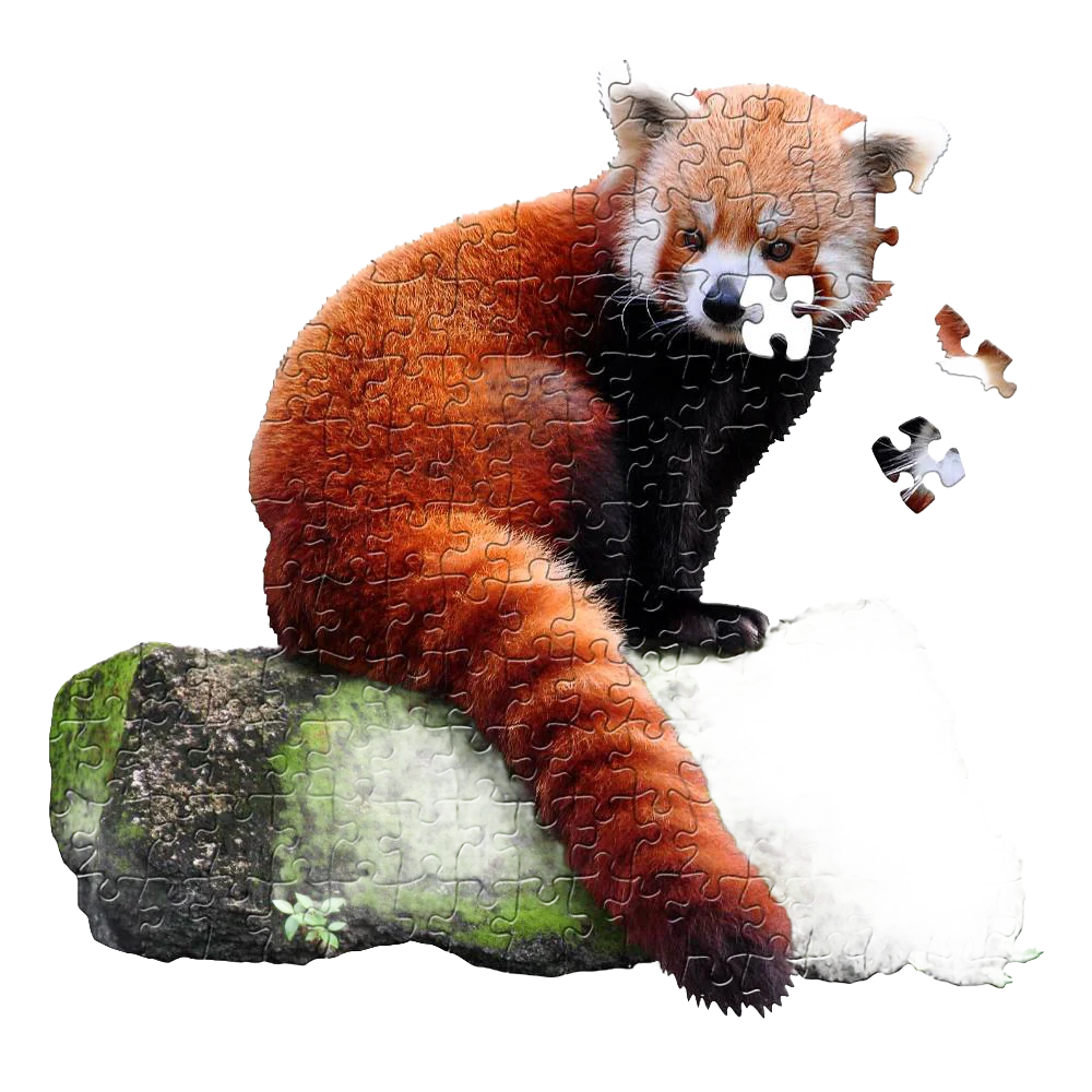 Specialty Shaped Jigsaw Puzzle – Red Panda – 100pcs Original Design