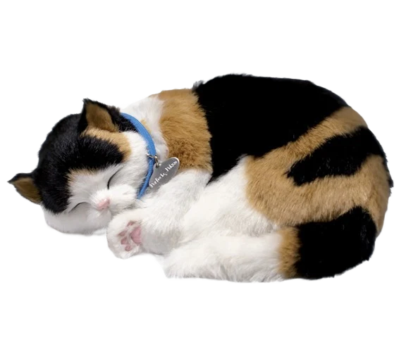 Modern Petzzz Calico Kitten Pet Dependable