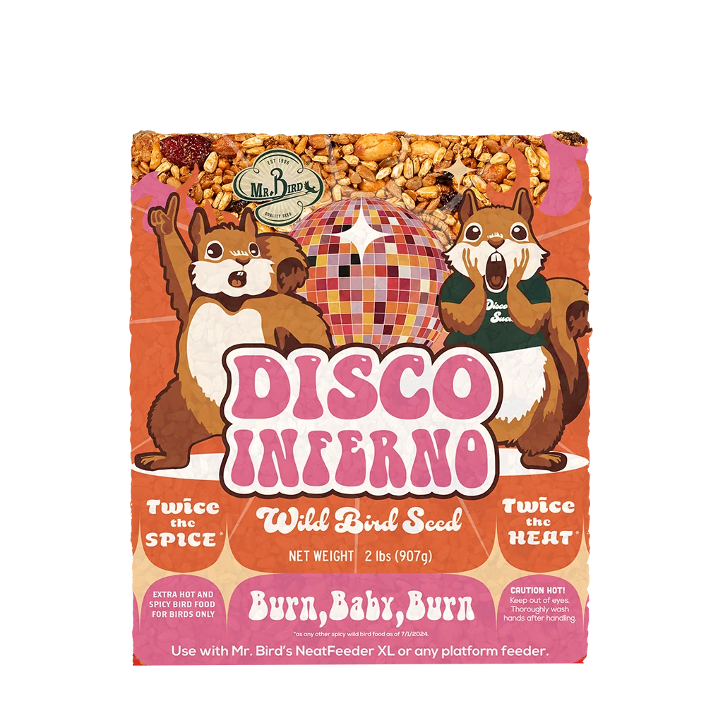 Eco-Friendly Mr. Bird Disco Inferno Large Seed Cake Refined