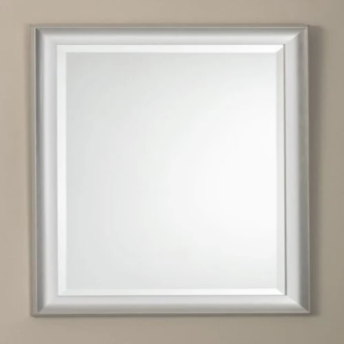 Stylish Kentwood Brushed Silver Mirror 25 x 33 in. Classic
