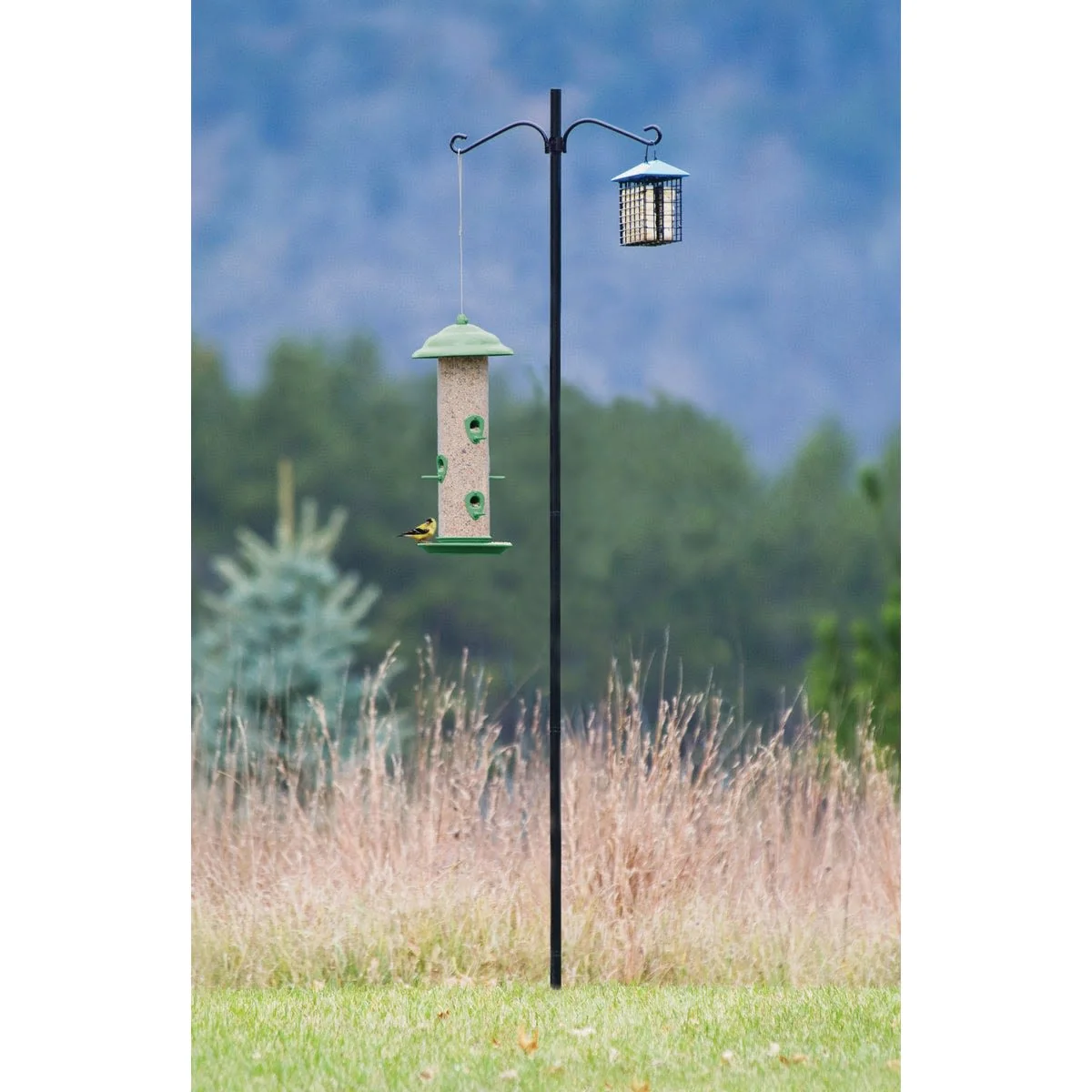 Powerful More Birds Steel Bird Feeder Pole Kit 6.5 ft. Versatile