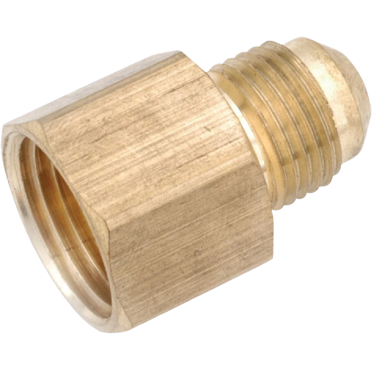 Professional Anderson Metals Brass Low Lead Female Flare Connector 3 8 In. x 1 2 In. Outstanding