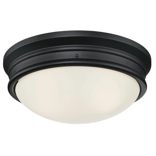 Organic Westinghouse Meadowbrook Matte Black w Frosted Glass 2 Light Ceiling Fixture 13 Original