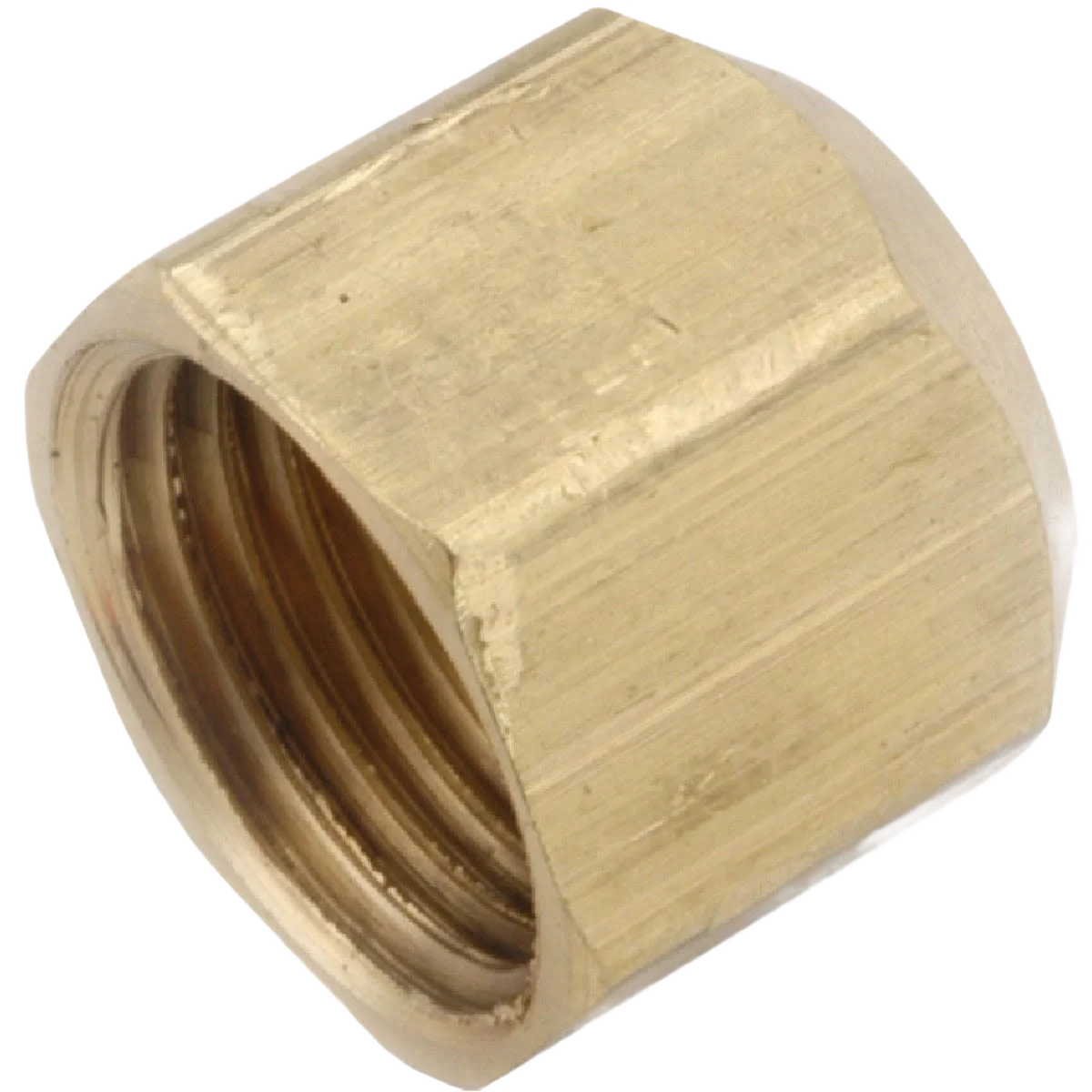 Flexible Anderson Metals 1 2 In. Flare Cap Responsible