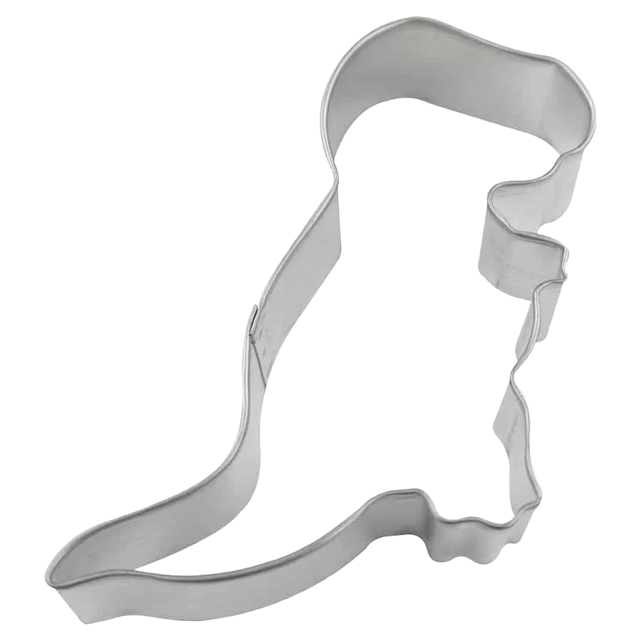 Smart R M International Dinosaur Cookie Cutter 4.75 in. Fast