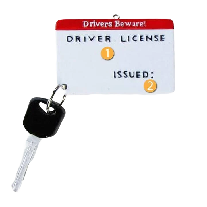 Recyclable PolarX Personalized Drivers License Ornament Functional