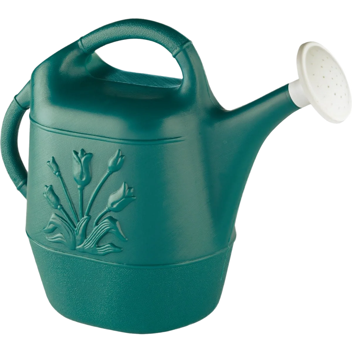 Enhanced United Solutions Hunter Green 2 Gallon Poly Watering Can Expertly Made