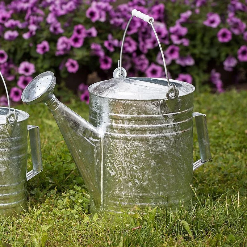 Pure Behren’s Large Galvanized Watering Can Breathable