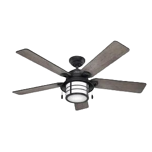 Healthy Hunter Biscayne Onyx Bengal Ceiling Fan with Light 54 in. High-Grade