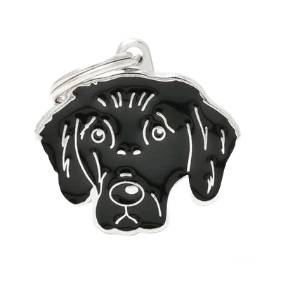 Professional MyFamily Flat Coated Retriever ID Tag Selected