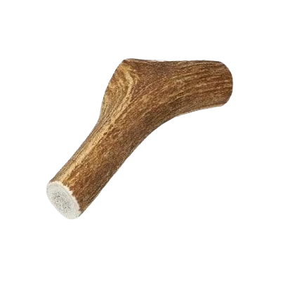 Crafted Elk Antler Dog Treats Medium Natural Elk Antler Reusable