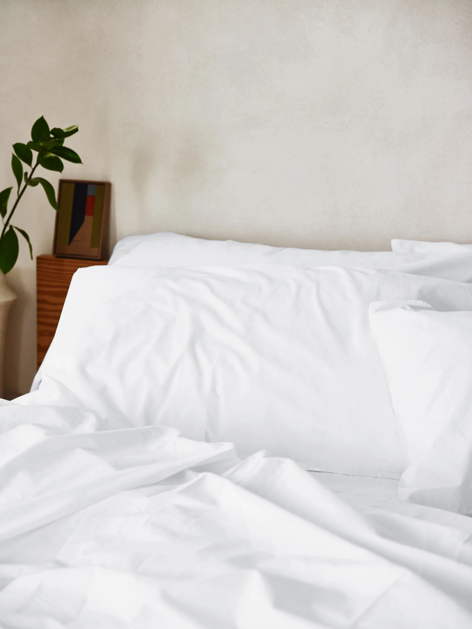 Professional White Washed Cotton Percale Square Pillowcases Pair Crafted