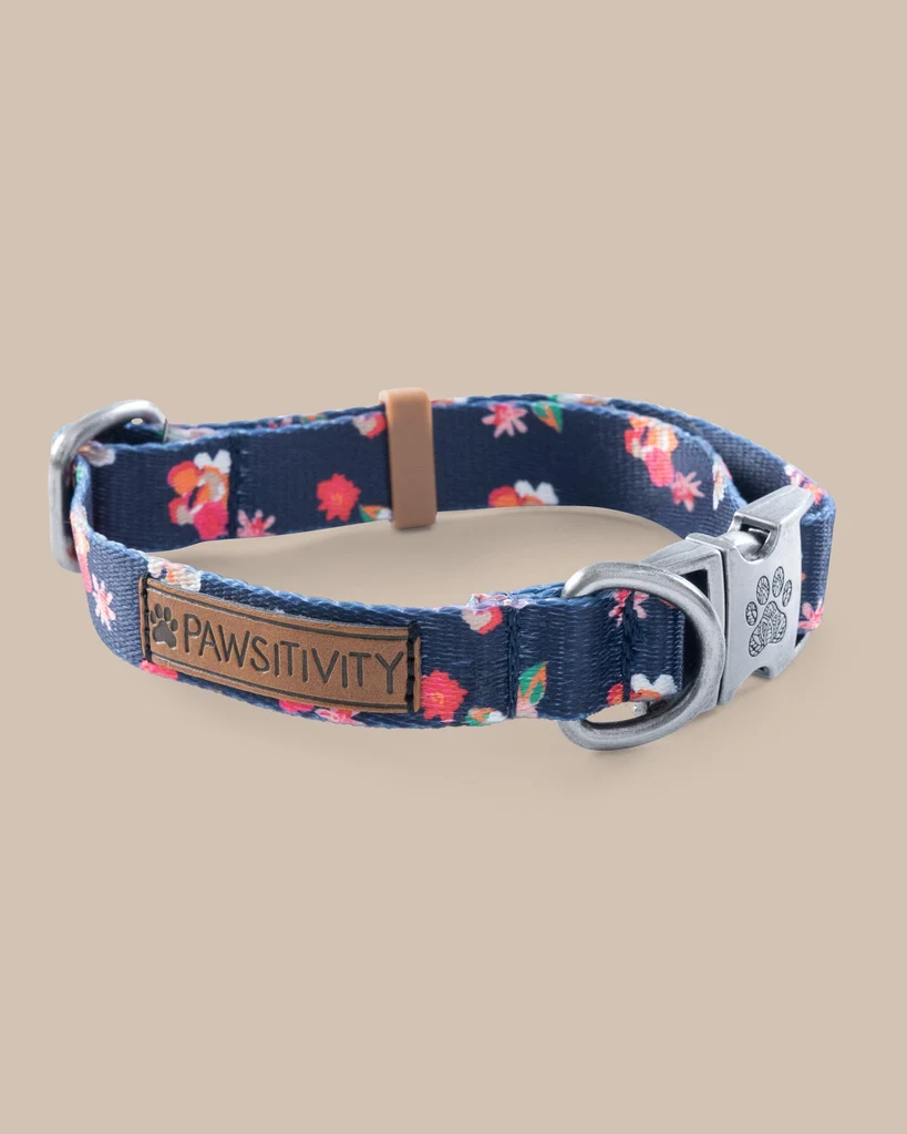 Solid ST x Pawsitivity Garden Splendor Dog Collar Exceptional