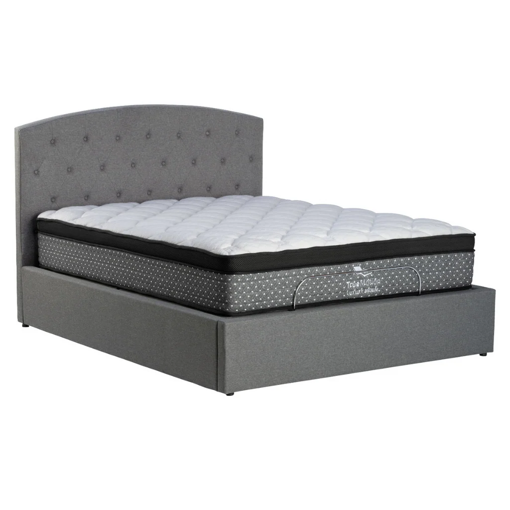Versatile Arena Motor Gas Lift Storage Bed Professional