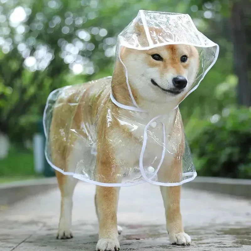 Modern Pet Dog Transparent Raincoat – Waterproof Hooded Jacket for Small Dogs Contemporary