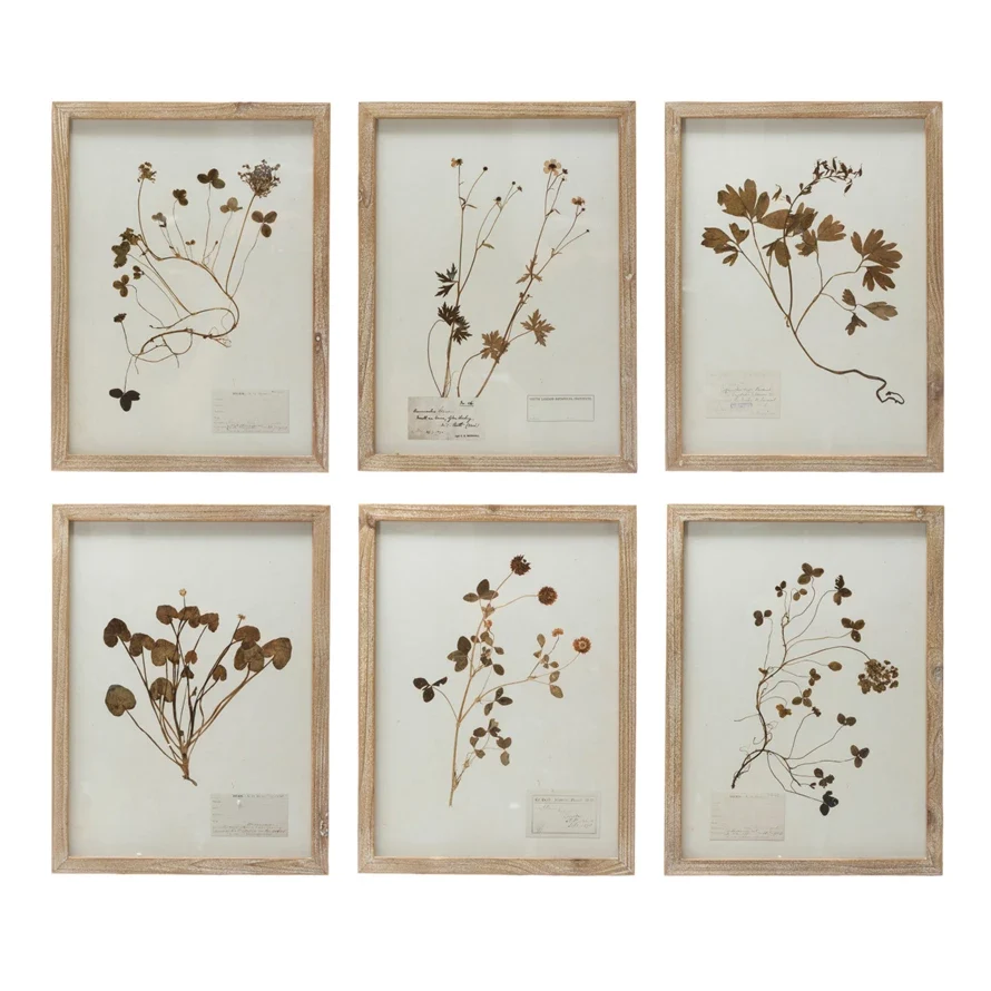 Next-Generation Framed Wall Decor w Botanicals Elegant