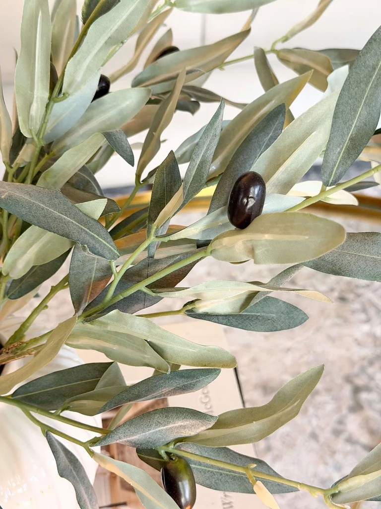 Convenient Small Double Olive Branch Exceptional