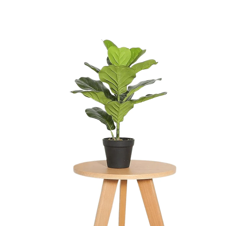 Healthy Fiddle Leaf Fig Faux Plant 50cm 19.7 Detailed