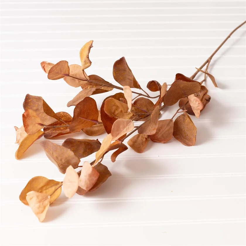 Powerful Eucalyptus Leaves Spray Brown Organic