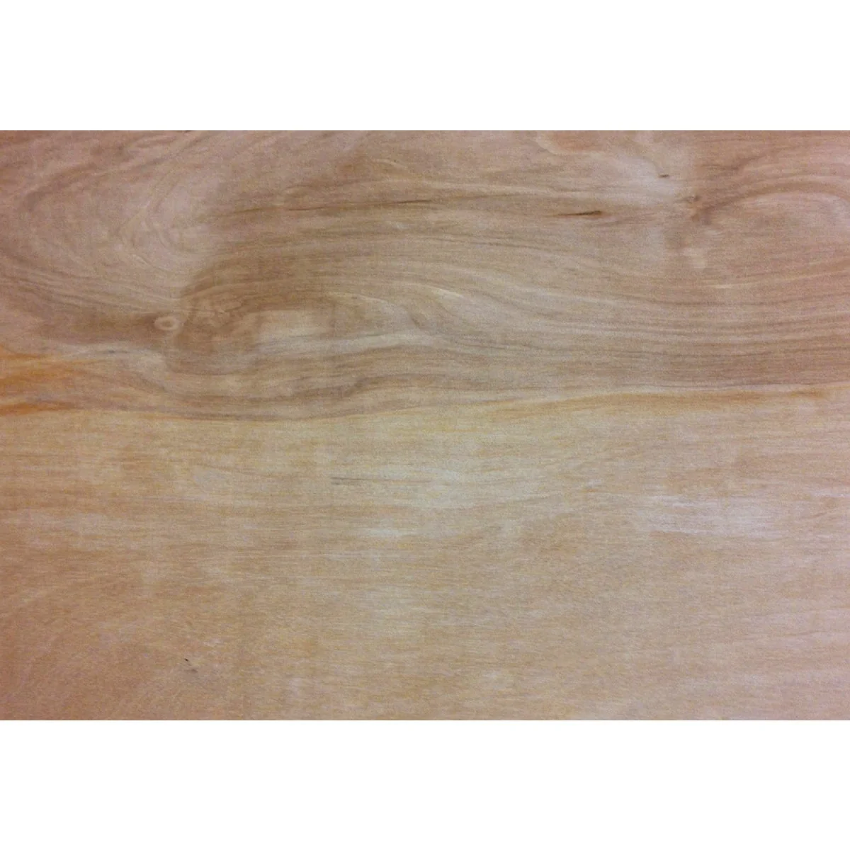 Proven Universal Forest Products 1 2 In. x 24 In. x 48 In. Birch Plywood Panel Dependable