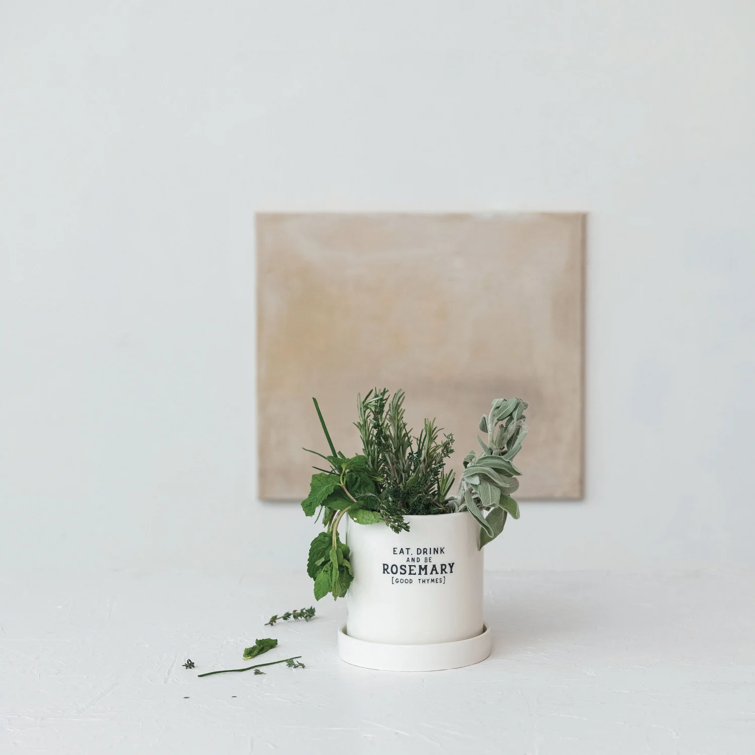 Elite Eat Drink Be Rosemary Stoneware Herb Planter with Saucer Fashionable
