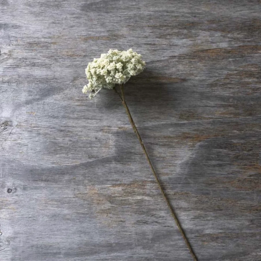 Excellent Yarrow Stem – Cream Faux Plant Selected