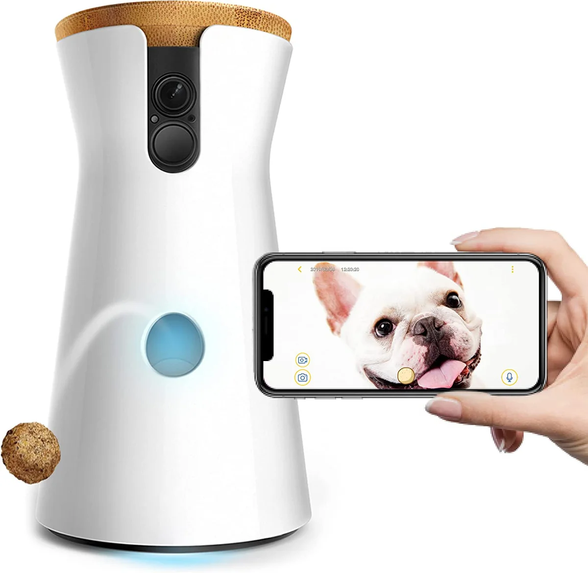 First-Class Whole Smart Dog Toys Auto Pet Feeder Wifi with Night Vision and Barking Alerts Designed for Dogs Powerful