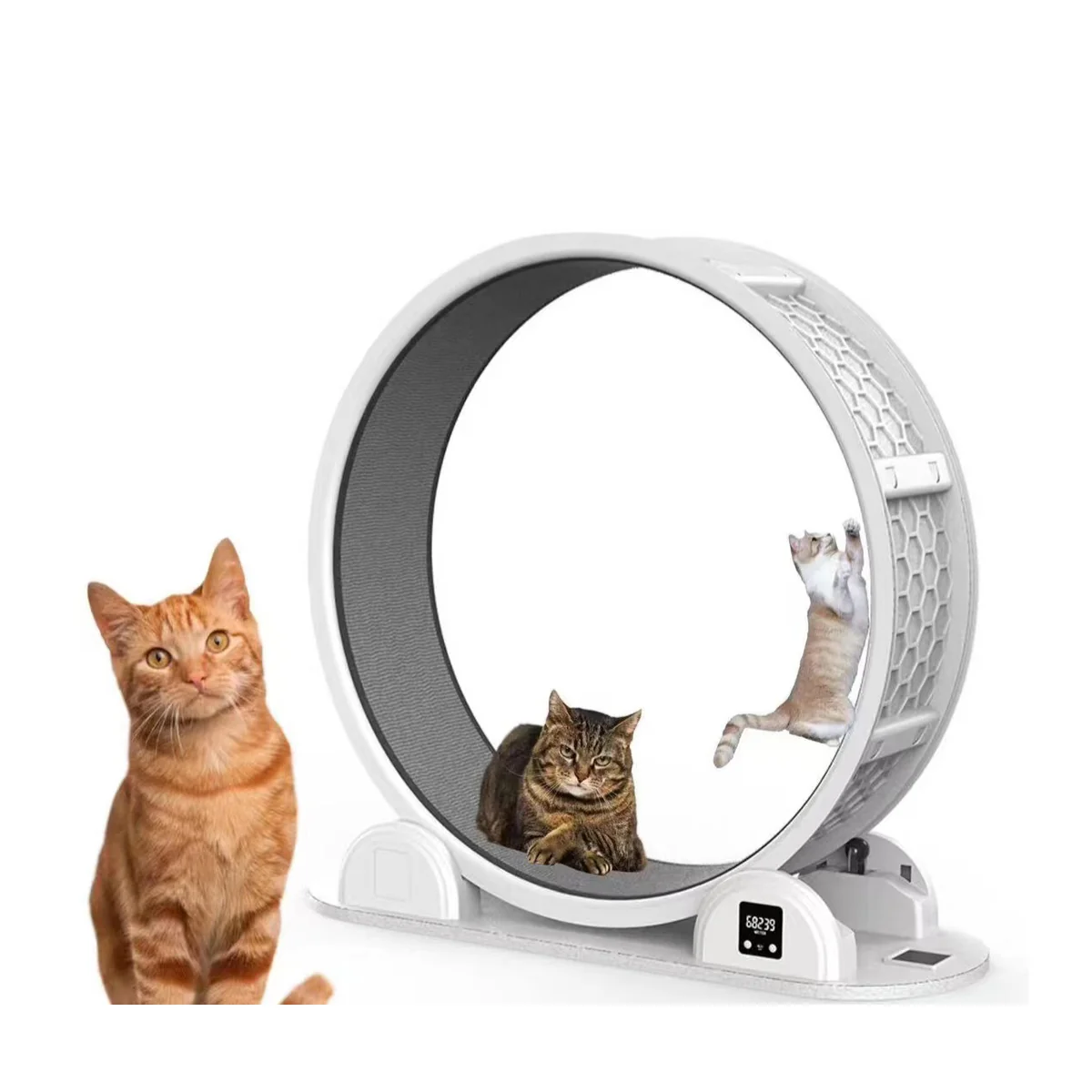 Prestigious Factory New design Cat Running Wheel Interactive Pet Toy Silent Exercise Cat Treadmill Anti-depression Environmentally Friendly