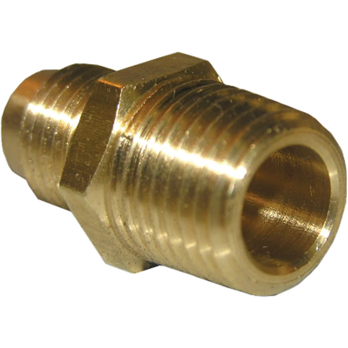 Trendy Lasco 1 4 In. M x 1 8 In. MPT Brass Flare Adapter Elite