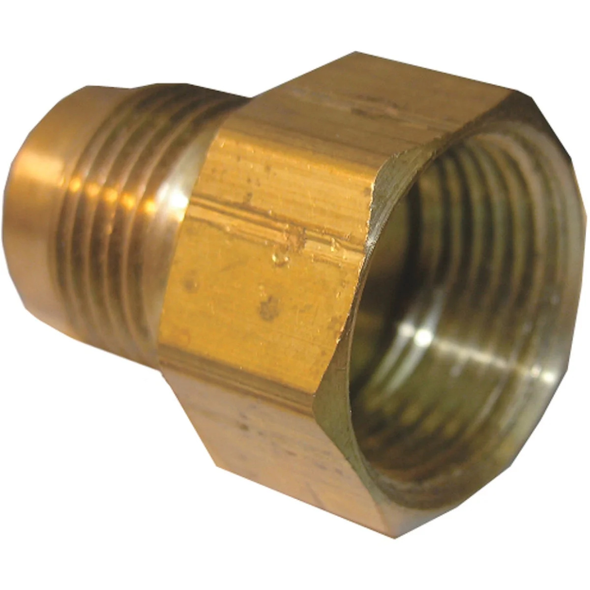 Exceptional Lasco 5 8 In. M x 3 4 In. FPT Brass Flare Adapter Prestigious
